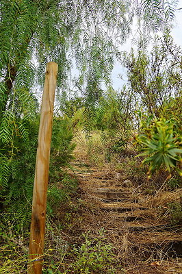 On.Loc.Garden.5043.Top.77