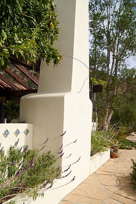 On.Loc.Garden.5043.Top.68