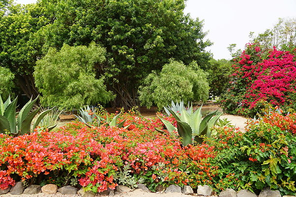 On.Loc.Gardens.4770.BU.56