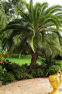 On.Loc.Gardens.4770.BU.17