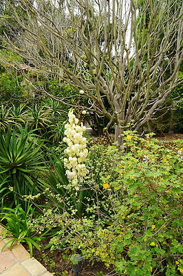 On.Loc.Gardens.4770.BU.16