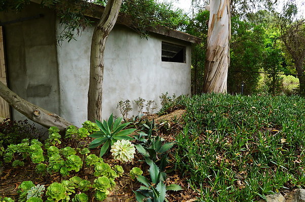 On.Loc.Gardens.4770.BU.57