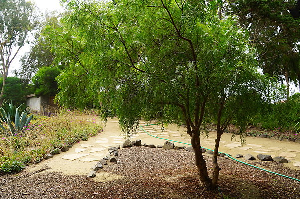 On.Loc.Gardens.4770.BU.53