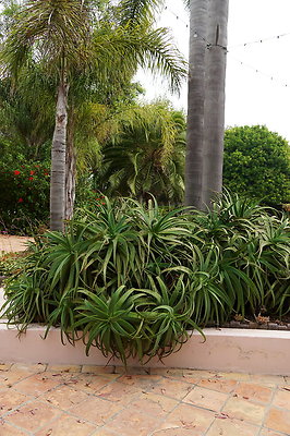 On.Loc.Gardens.4770.BU.10