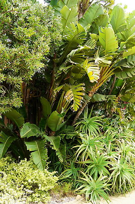 On.Loc.Gardens.4770.BU.93