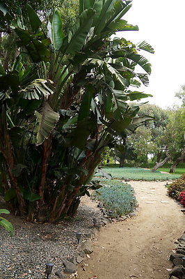 On.Loc.Gardens.4770.BU.28