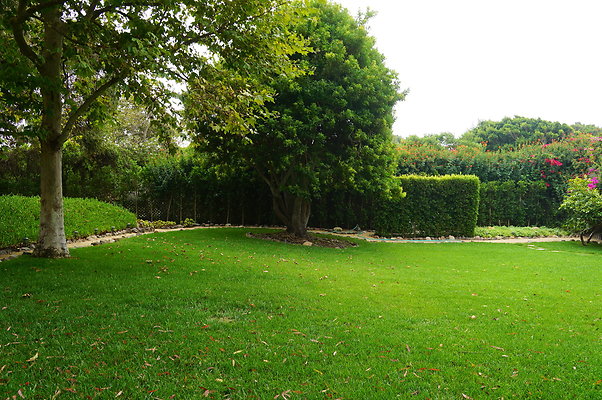 On.Loc.Gardens.4770.BU.33