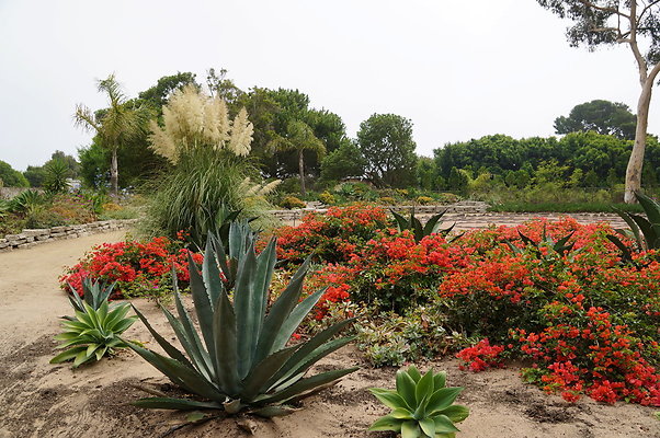 On.Loc.Gardens.4770.BU.51