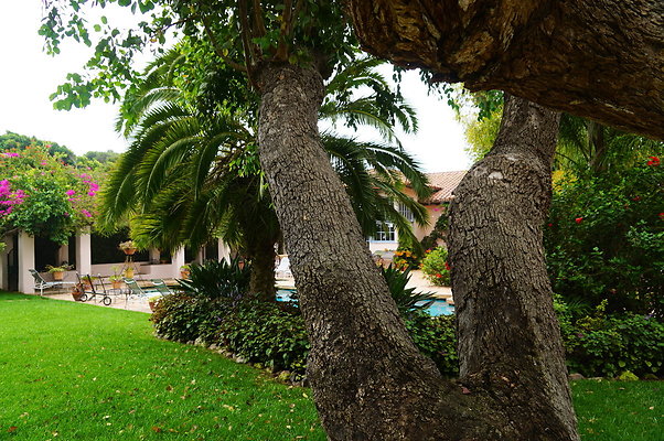On.Loc.Gardens.4770.BU.31