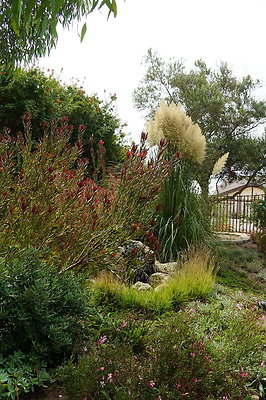 On.Loc.Gardens.4770.BU.94