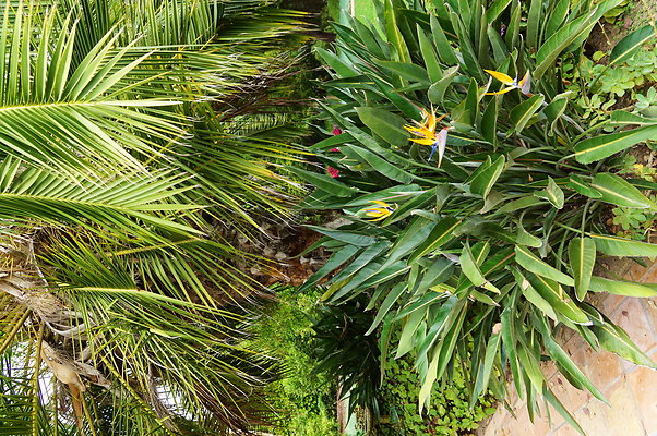 On.Loc.Gardens.4770.BU.18