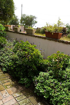 On.Loc.Gardens.4770.BU.89