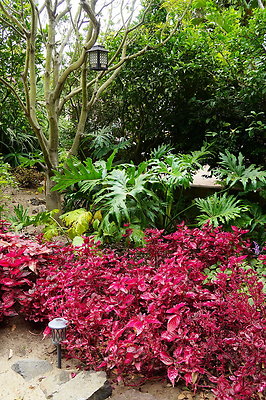 On.Loc.Gardens.4770.BU.22
