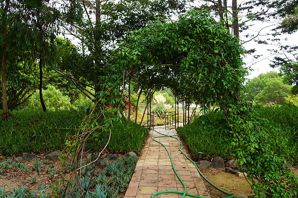 On.Loc.Gardens.4770.BU.35