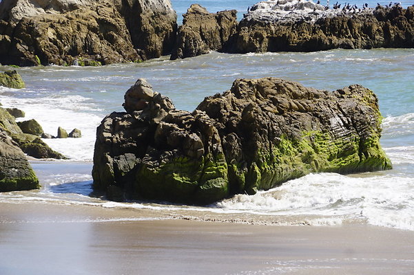 Leo.Carrillo.SB.Sandy.87 Leo.Carrillo.SB.Sandy.87