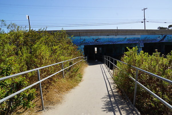 Leo.Carrillo.SB.Rocky.04