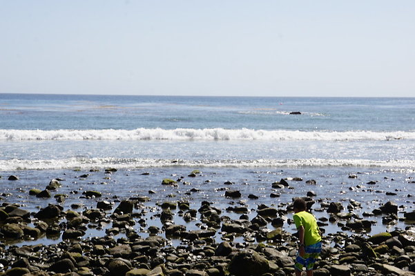 Leo.Carrillo.SB.Rocky.34