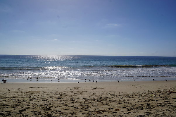 Zuma.Beach.2.2018.19