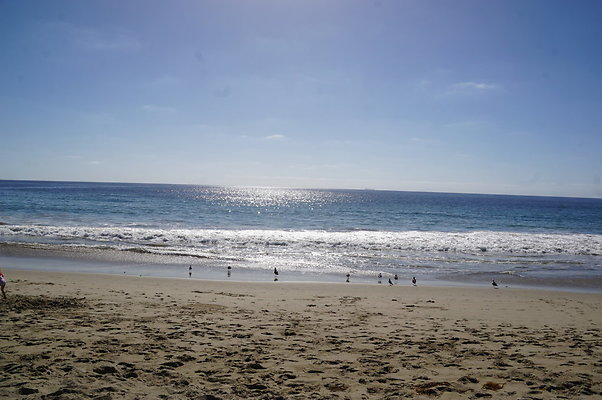 Zuma.Beach.2.2018.11