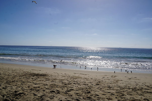 Zuma.Beach.2.2018.18