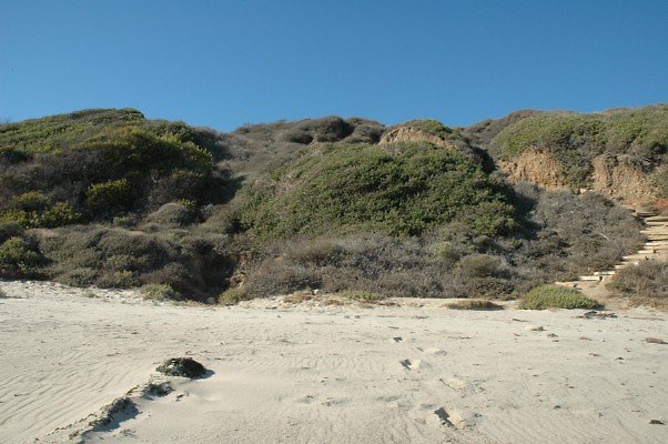 DSC 0205