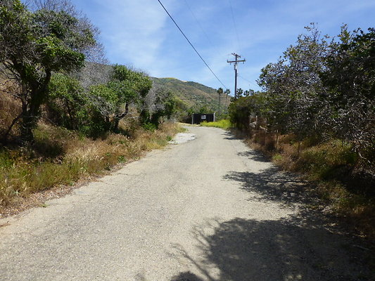 P1090208