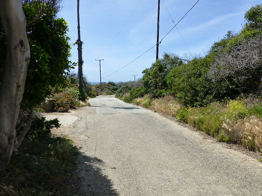 P1090206