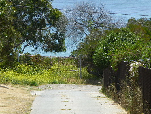 P1090226