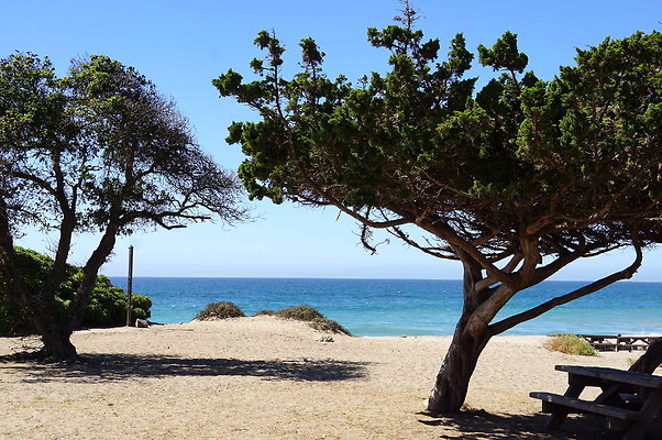 Sycamore.Cove.03