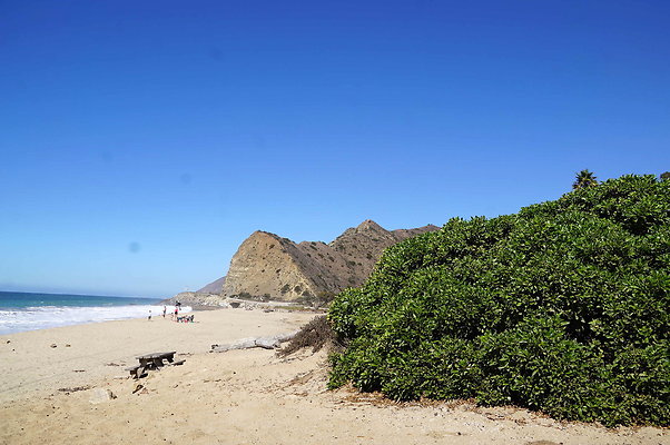 Sycamore.Cove.13