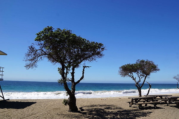 Sycamore.Cove.21