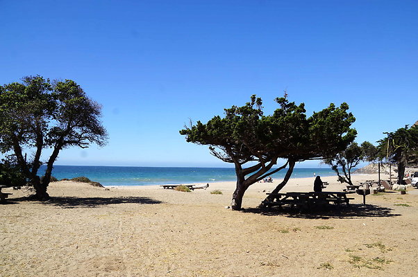Sycamore.Cove.08