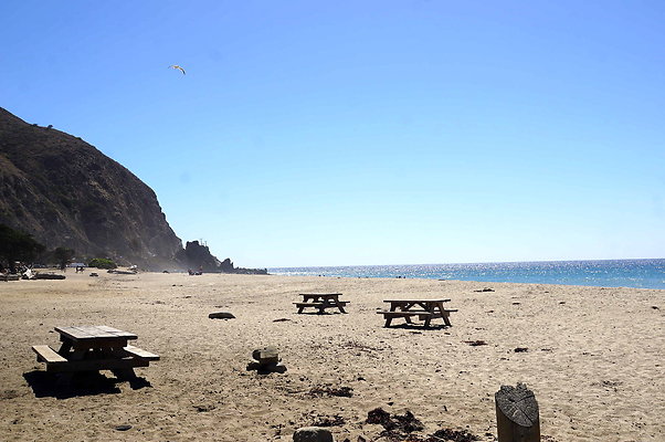 Sycamore.Cove.31
