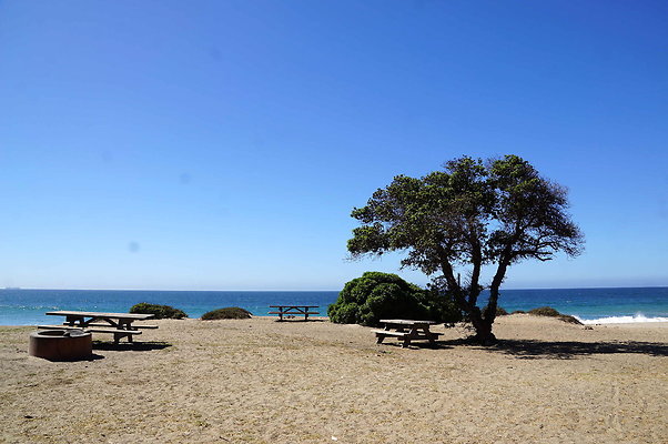 Sycamore.Cove.07