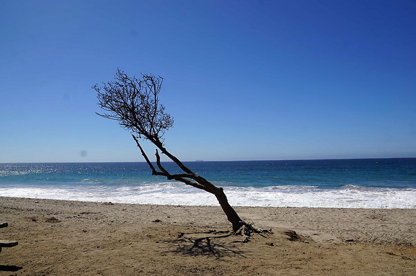 Sycamore.Cove.17