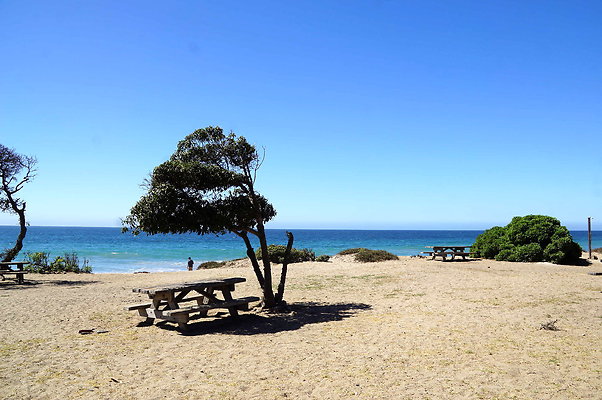 Sycamore.Cove.09