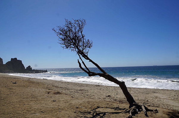 Sycamore.Cove.18