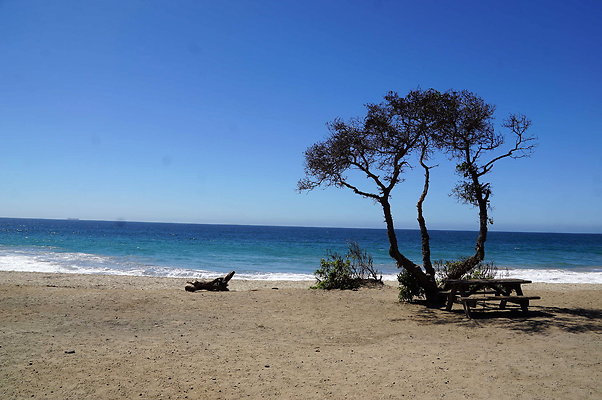 Sycamore.Cove.10