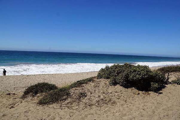 Sycamore.Cove.11