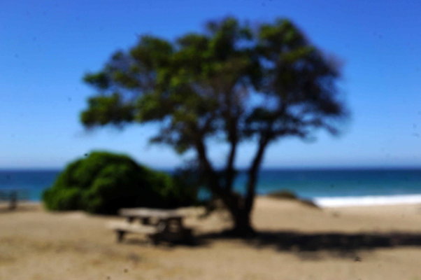 Sycamore.Cove.06
