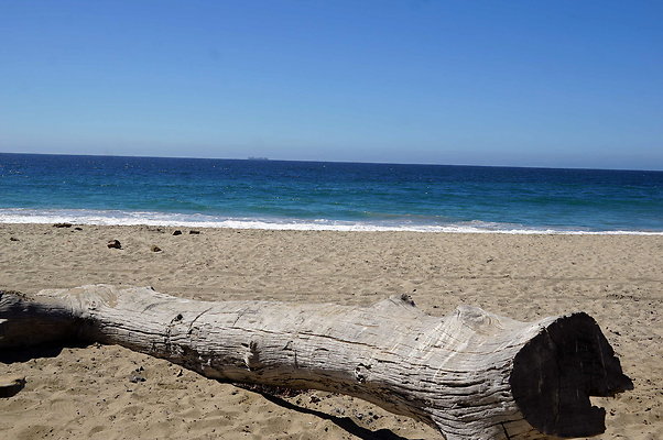 Sycamore.Cove.33