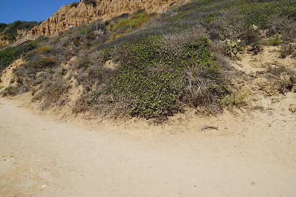 El.Matador.SB.59 El.Matador.SB.59