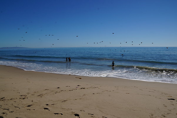 WIll Rogers.Beach.Towers.6.To.7.109