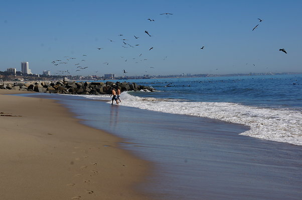 WIll Rogers.Beach.Towers.6.To.7.124