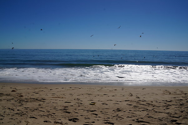 WIll Rogers.Beach.Towers.6.To.7.92