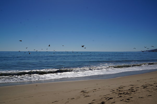 WIll Rogers.Beach.Towers.6.To.7.112