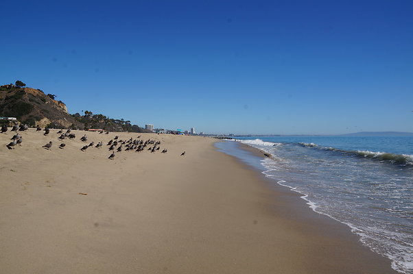 WIll Rogers.Beach.Towers.6.To.7.04 hero