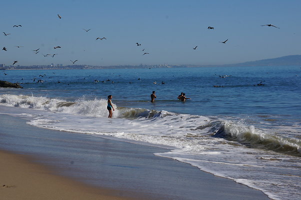 WIll Rogers.Beach.Towers.6.To.7.89