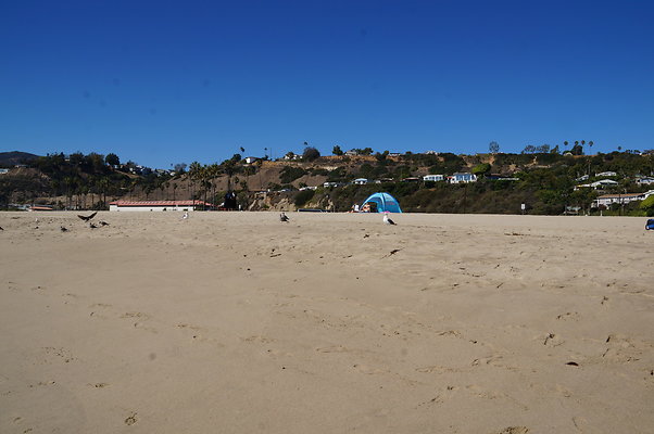 WIll Rogers.Beach.Towers.6.To.7.79