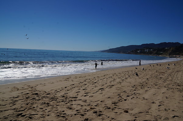 WIll Rogers.Beach.Towers.6.To.7.93
